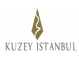 Basliksizds-1
